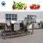 longan pomegranate tomato washing machine fruit and vegetable cleaner spray fruit washing machine