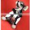 Dog Clothes Outdoor Jacket Winter Down Jacket Teddy Dog Schnauzer Pomeranian Corgi Pet Clothes