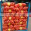 Hot Sale Big Yellow Onion Packing In Mesh Bag Sale In Market Price