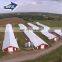 Modern Farm Shed / New Chicken House / Chicken Pens Structure