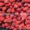 High Quality New Crop BRC Certified America 13 IQF Frozen Strawberry