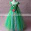 New Elsa Dress With Cape Fabric Green Color Tulle Tutu Dress