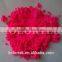 Luminous Dye And Effect Pigment, Fluorescent Neon Color Pigments, Glow In The Dark Pigments Etc