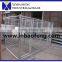 Hot selling good price hot dip galvanize large dog cage dog kennel IN-M032