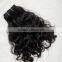 100% virgin human hair SGIHAIR