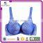 Wholesale Fitness Sexy Ladies Underwired Open Hot Sexy Girl Bra