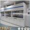 Factory price lab chemical fume hood