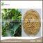 Hot Selling products Olive Leaf Extract Powder