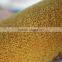 Commercial 3mm Factory Price 12 Colors Carpet,Nylon Tufted Office Building Carpet Tile YB-A007