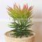 Potted Artificial Mini Succulent Plant for Home Decorations / Garden Decorations