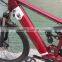 Haoling Stormor electric bicycle China, electric motor bicycle china