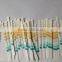 medical Urine Strip Analyzer for VET