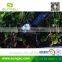 4LED IP65 Waterproof Outdoor LED Solar Lamp