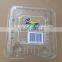 Custom blister plastic fruit container/high quality and cheap price fruit tray with lid