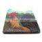 New year delicacy square fruit biscuit candy tin plate