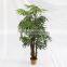 Home Artificial Palm Trees Bonsai Decorative Wholesale