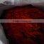 sweet paprika powder