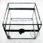 17.5*17.5*14.2cm cube opening box glass terrarium flower arrangement air plant planter home decoration 0100013