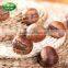 Best quality roasted chestnuts with shell, Chinese chestnuts