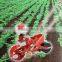 Made in JAPAN high quality Tray seeding Machine with a rolling belt