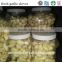 white pure fresh garlic cloves for sale in south africa