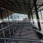 Single Row Type Cow Free Stall With Hot Galvanized Steel Pipe
