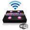 WIFI control COB 5W chips led grow light for greenhouse