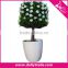Artificial Potted Plant Plastic Table Small Plant Pots Artificial Grass Ball Tree / Bonsai Tree