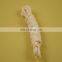 3mm flat elastic cord for clothes