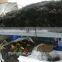 100% loose human hair bulk extension wholesale prices indian hair expressions hair for braiding