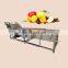 grapefruit  jujube grape date cherry tomato cleaner machine fruit and vegetable washer machine