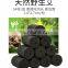 2018 nanyang hot selling smokeless moxa cone for personal care