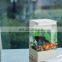 Mini aquarium USB acrylic Ecology fish tank LED small Home Decor