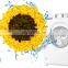 Sunflower Shaped Pet Bowl Anti-choking Dogs Feeder Intelligent Slow Eating Cats Bowl