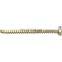 China Manufacture Veterinary Bone Surgery 1.5/2.4/2.7mm Cortical Self-tapping Screw Orthopedic Surgical Trauma Implants