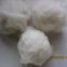Merino Sheep Wool Fiber Wool Raw Materials For Wool Carpet