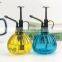 Gardening Plant Watering Glass Sprayer Fine Mist spray bottle with plastic top pump