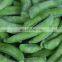 2022 New Crop   Sinocharm Frozen vegetables Length 4 - 9 cm   IQF Frozen Sugar Snap Peas