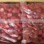 Frozen New Whole Fresh Dried Strawberry IQF Fresh Dried Red Strawberry
