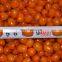 Sinocharm BRC Certified IQF Berries Fruit Frozen Sea Buckthorn