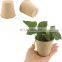 Plant Seed Starter Pots Kit Transplant Seedlings Pots Seed Germination Trays  Biodegradable Flower Planting Pots