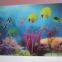 3d pictures New design hot selling 3d picture cate