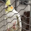 Stainless Steel Wire Rope Zoo Animals Enclosure Bird Aviary Ferrule Netting
