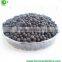 Humic acid powder and granule for plants