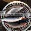 Whole round Grey mullet and mugil cephalus