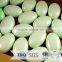 mini ivory soap bars /msds oem/odm cheap small soap in china/ jiangsu/ yangzho