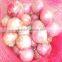 2015 Onion Lowest Price With Best Quality