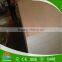 AAA Poplar Commercial Plywood