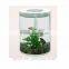 Various shape of small acrylic aquarium