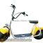 2016 New 1000W Wolf Moto Electricas with Lithium Battery
